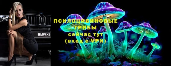 PSILOCYBIN Богородицк